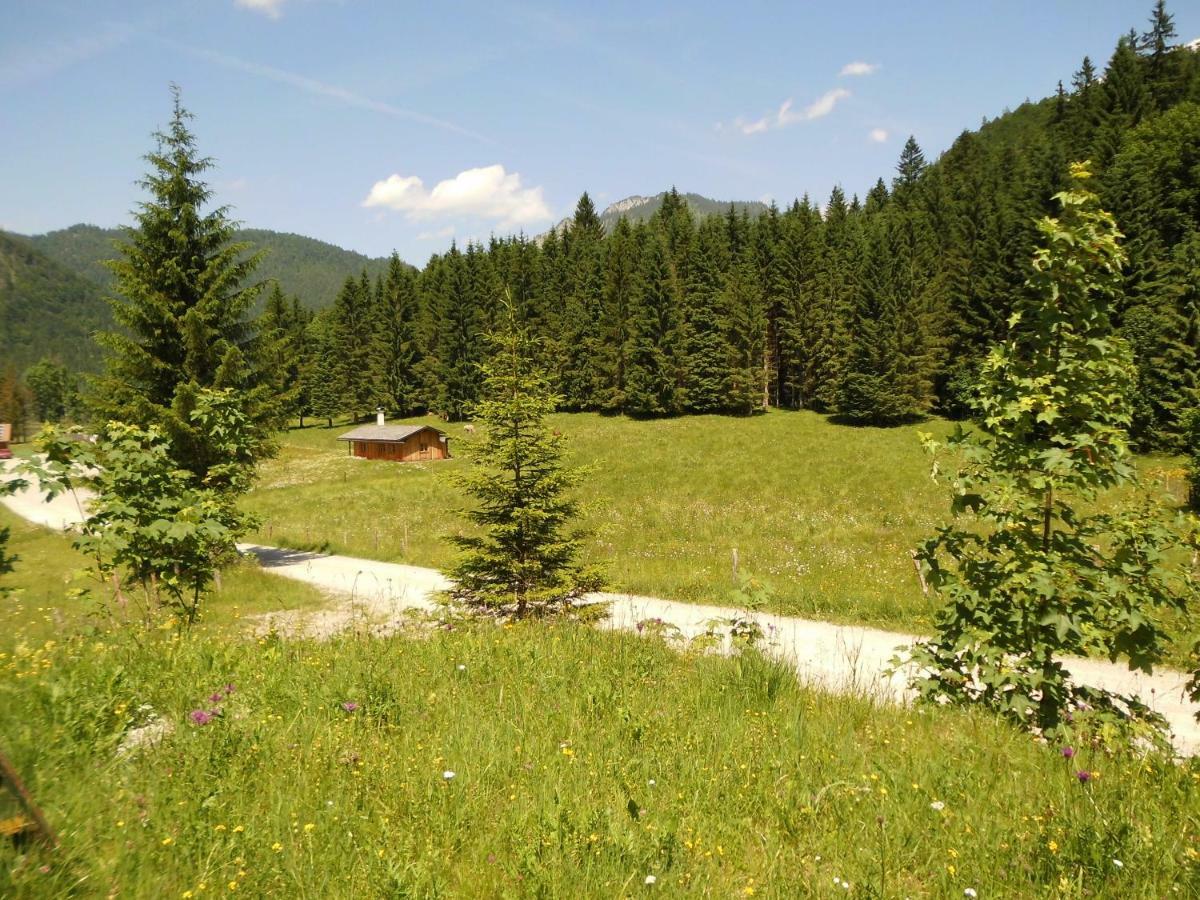 Seewiesenalm Reit im Winkl Εξωτερικό φωτογραφία